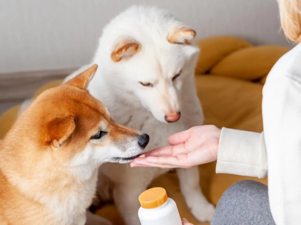 Clínica Veterinaria el Granadal